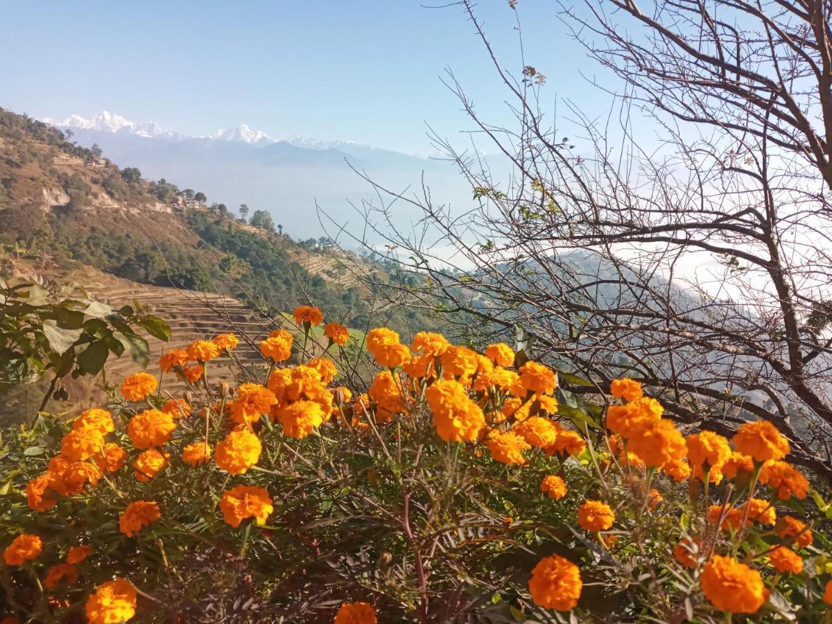 Unique Point Home Stay Nagarkot Buitenkant foto