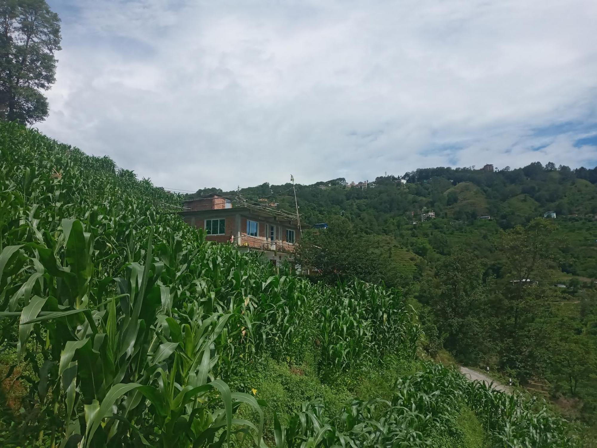 Unique Point Home Stay Nagarkot Buitenkant foto
