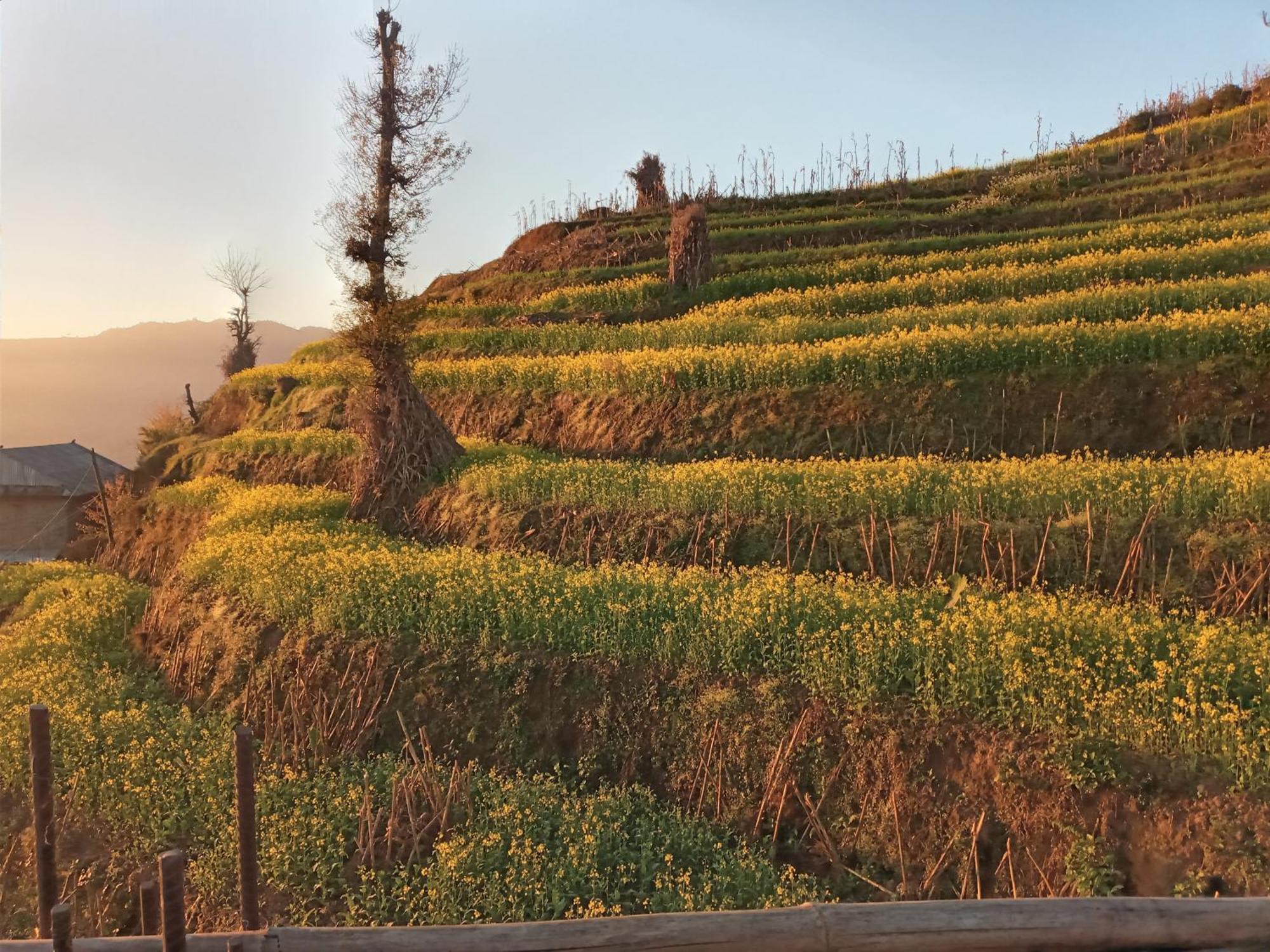 Unique Point Home Stay Nagarkot Buitenkant foto