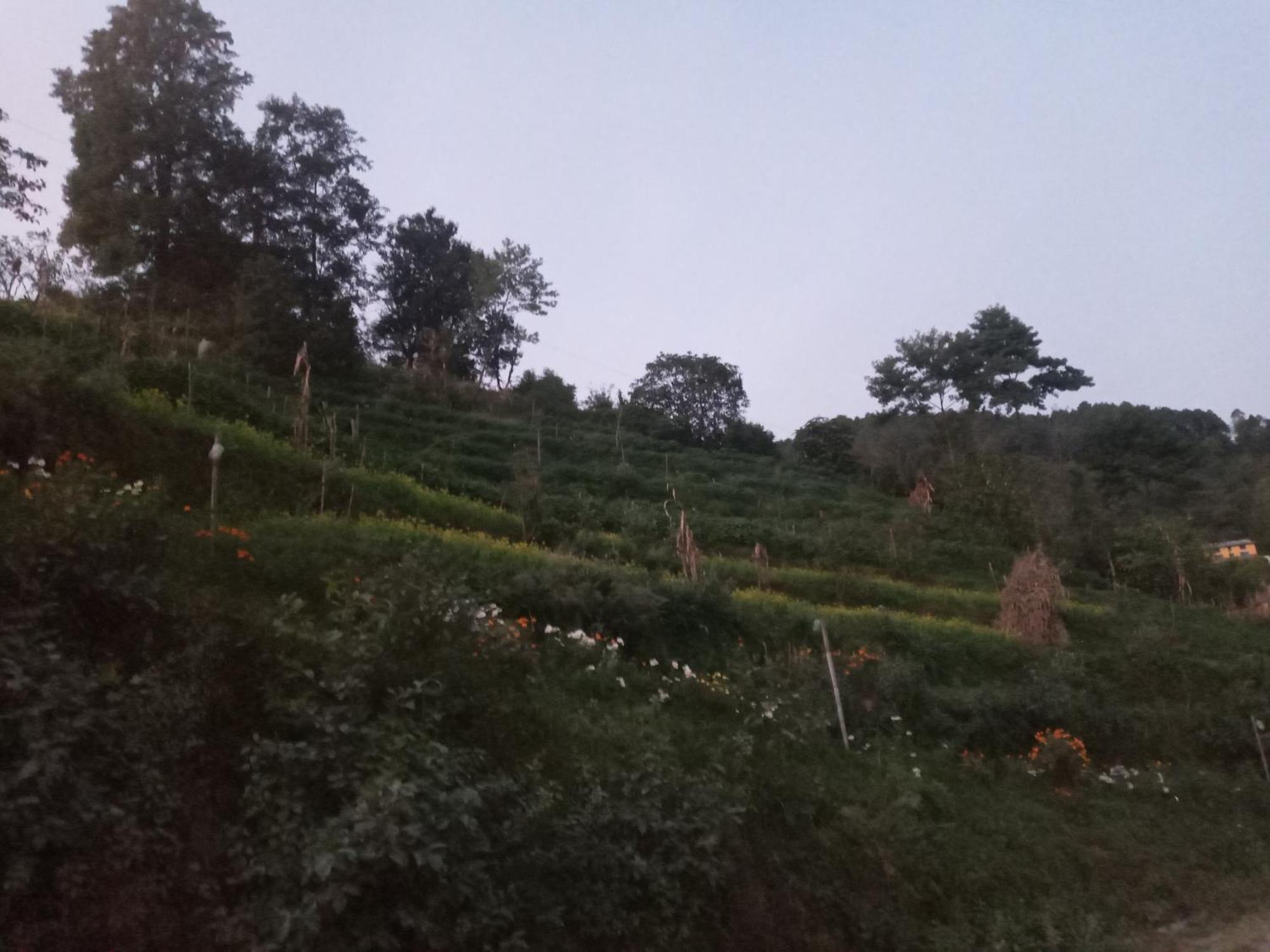 Unique Point Home Stay Nagarkot Buitenkant foto
